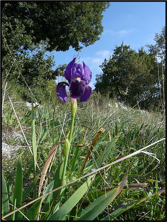 Il Gargano